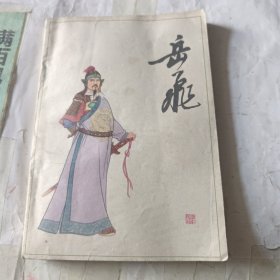 岳飞