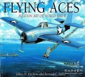 空战绘画 王牌飞行员 Flying Aces: Aviation Art of World War II 精装 148页彩绘