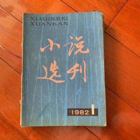 《小说选刊》1982年缺5、10、11