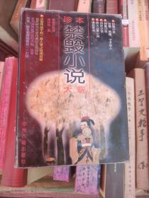珍本禁毁小说大观:稗海访书录，精装32开。