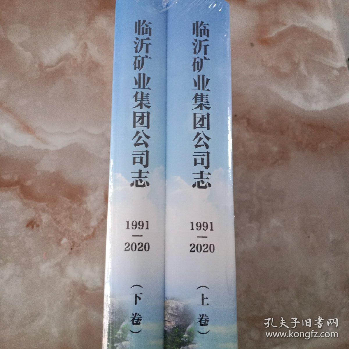 临沂矿业集团公司志：1991—2020