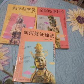 中国神秘文化研究丛书：如何修证佛法 金刚经说什么 圆觉经略说