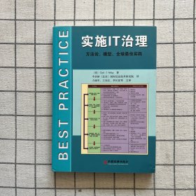 实施IT治理：方法论、模型、全球最佳实践