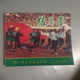 綠茵夢＿85／91遼沈足壇紀(jì)實(shí)