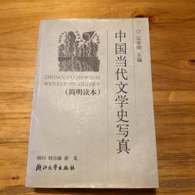 中国当代文学史写真