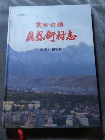蓝田古镇焦岱街村志