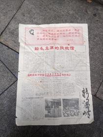 1967年~新温岭报（贫下中农总指挥部成立）