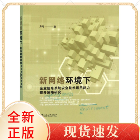 新网络环境下企业信息系统安全技术运用能力提升策略研究