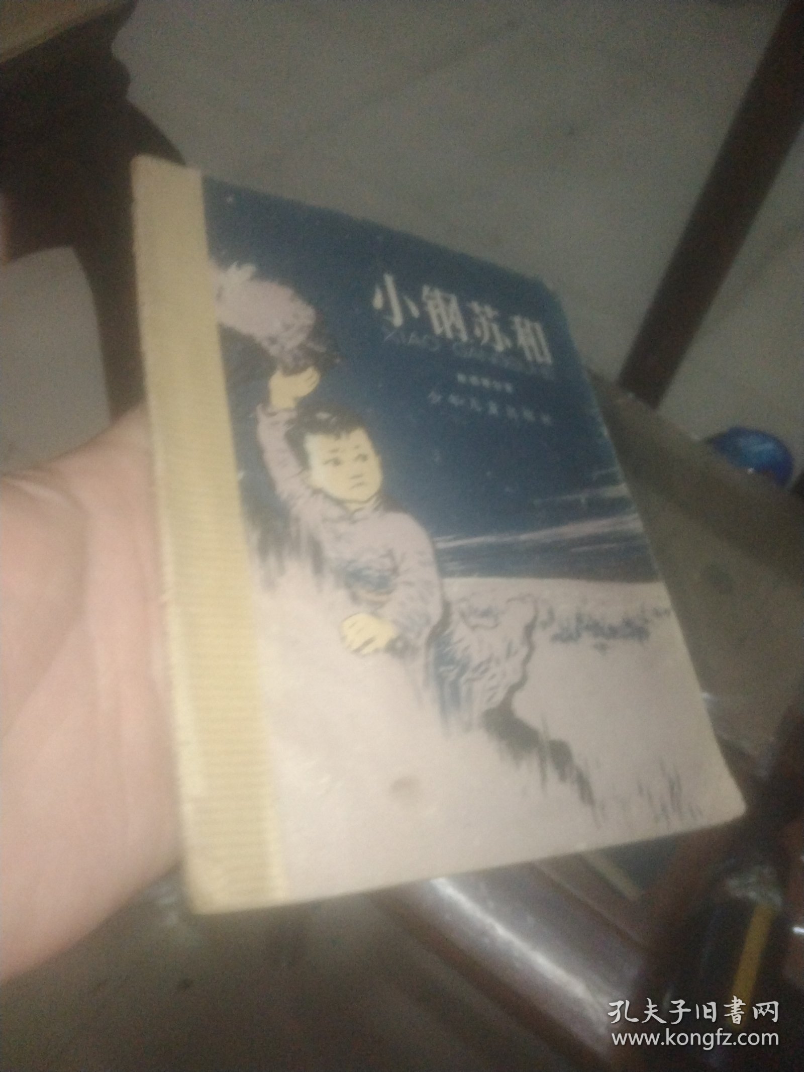 小钢苏和 大塑料袋