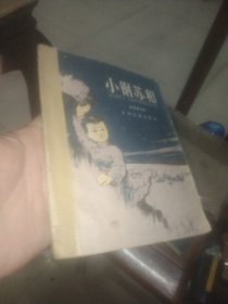 小钢苏和 大塑料袋