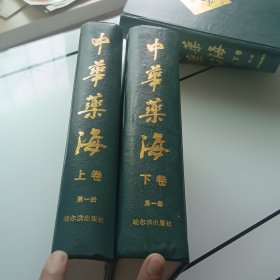 中华药海第一册上下