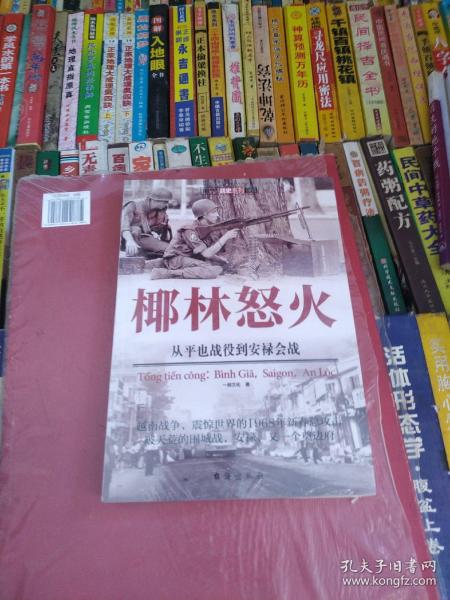 椰林怒火：从平也战役到安禄会战