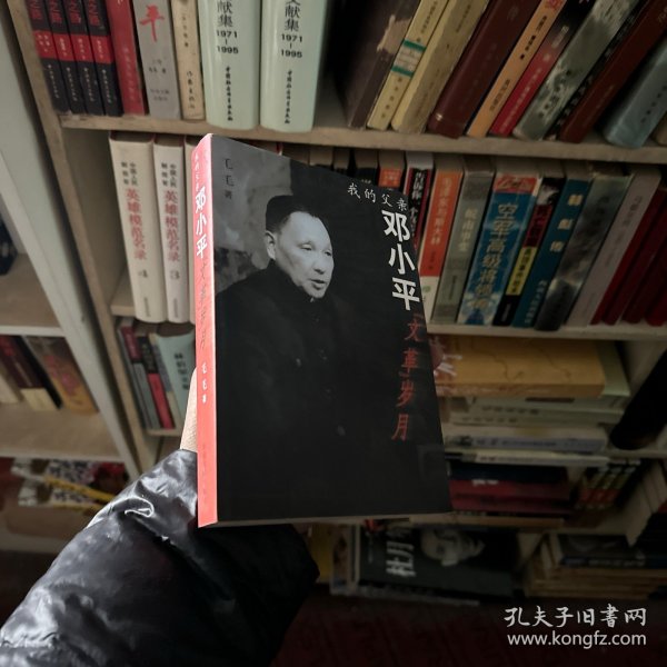 我的父亲邓小平：文革岁月