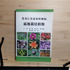 黑龙江省森林植物园露地栽培植物