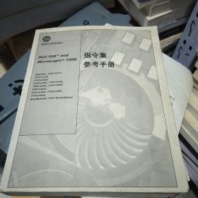 1000指令集 参考手册