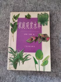 家庭观赏水草安华伟