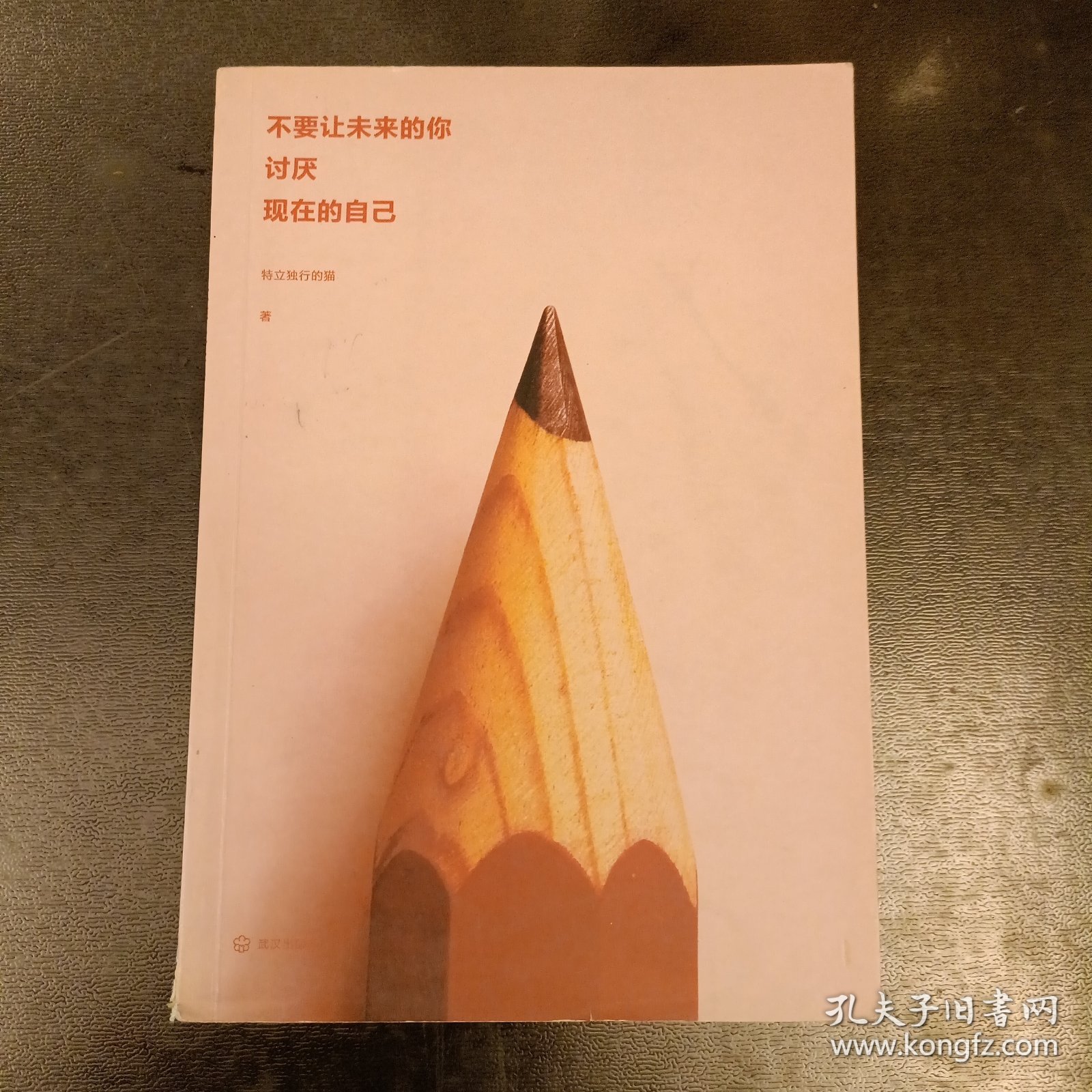 不要让未来的你，讨厌现在的自己 内有少量字迹勾划 (前屋63C)