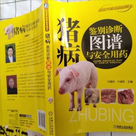 猪病鉴别诊断图谱与安全用药（轻微瑕疵）