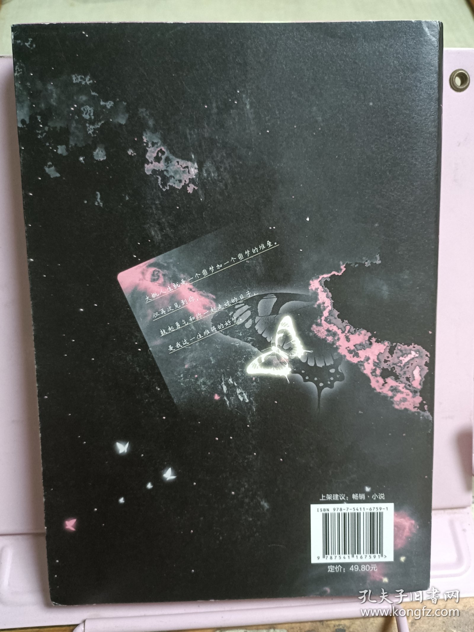 风眼蝴蝶.完结篇
