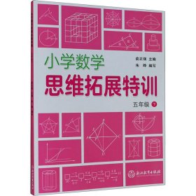 小学数学思维拓展特训