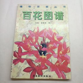 百花图谱