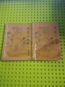 武皇小浪子 上下