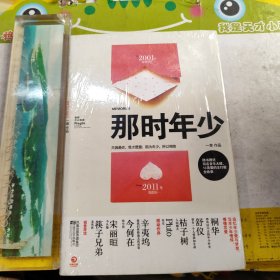 那时年少 未拆封