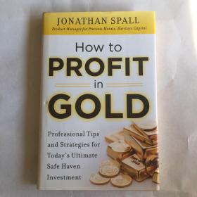 How to Profit in Gold：Professional Tips and Strategies for Today’s Ultimate Safe Haven Investment  英文原版  精装