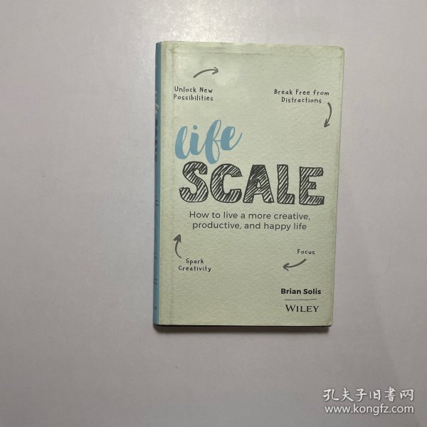 英文原版Lifescale: How to Live a More Creative, Productive, and Happy Life生活规模：如何过上更有创意、更高效、更幸福的生活