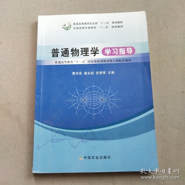 普通物理学学习指导/普通高等教育“十一五”国家级规划教材修订版配套教材