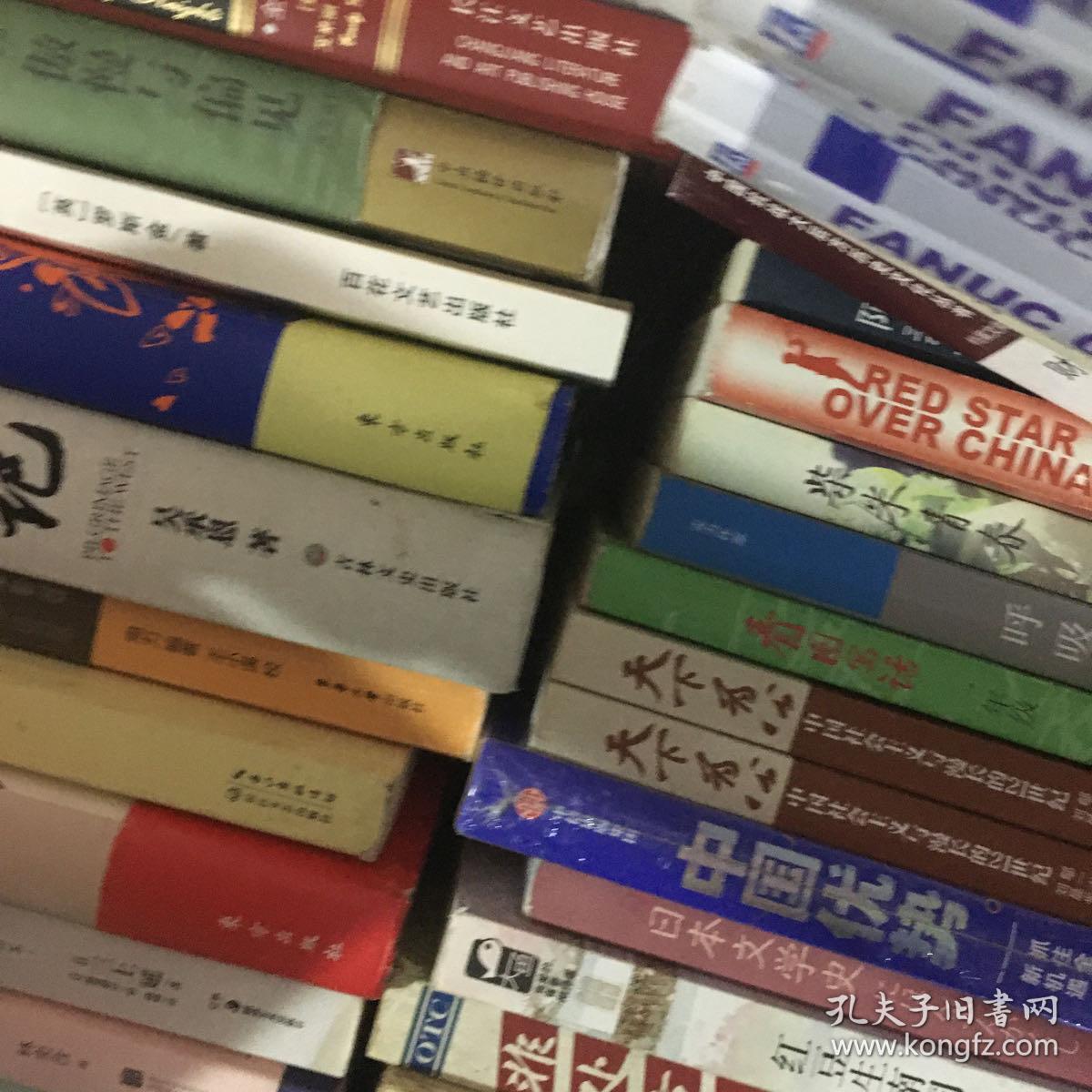中国民族统计年鉴（2018）
