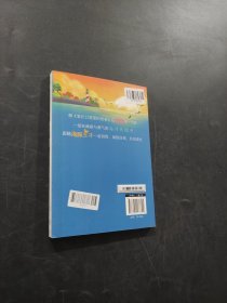 神秘机器鱼