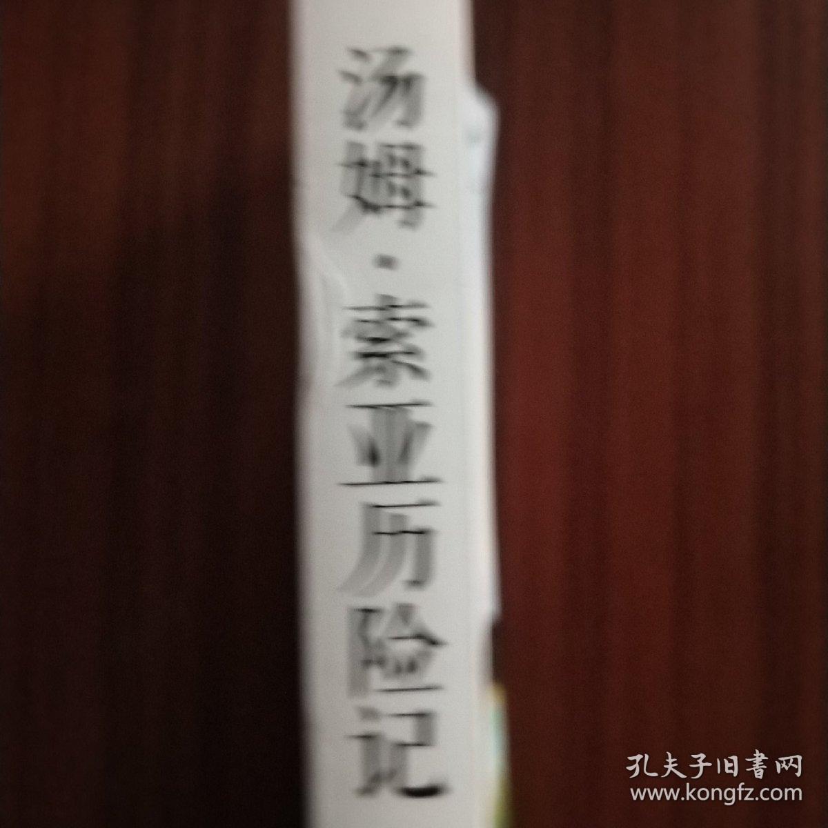 中外文学精品廊 世界经典历险游记精品廊 汤姆·索亚历险记  春雨教育