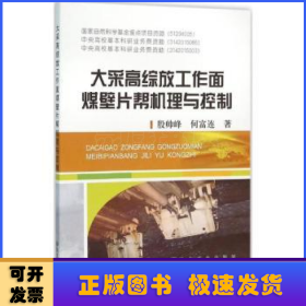 大采高綜放工作面煤壁片幫機(jī)理與控制