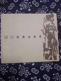 张路的黑白世界