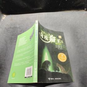 奇境猫王系列：猫虎变幻