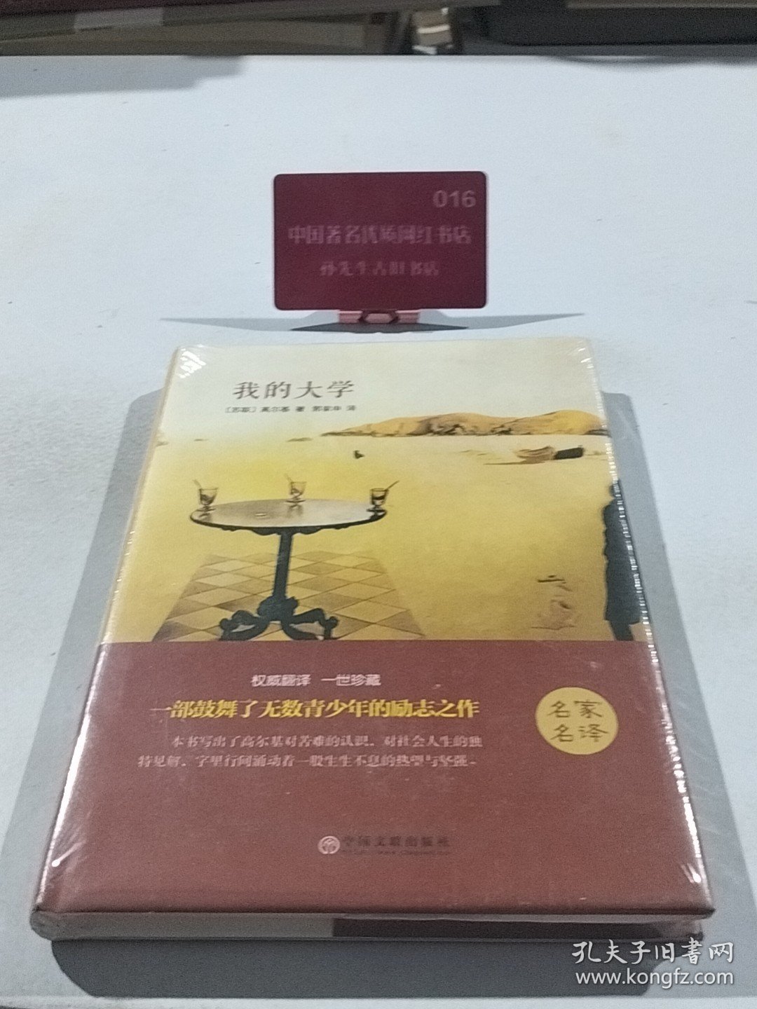 名家名译我的大学