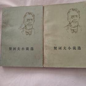 契诃夫小说选 上下册