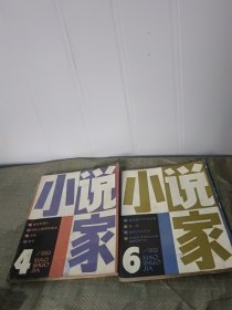 小说家1989.4.6