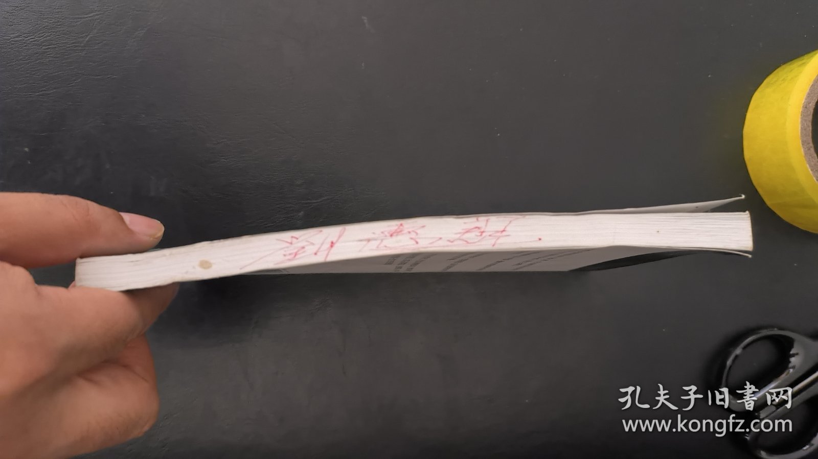 移情与投射