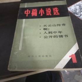 中篇小说选•1