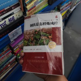 经典名著 大家名译：钢铁是怎样炼成的（无障碍阅读 全译本 素质版）带塑封