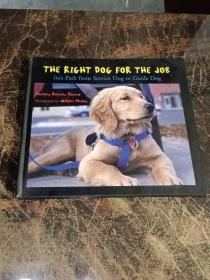 The Right Dog for the Job: Ira's Path from Service Dog to Guide Dog-