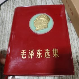 毛泽东选集(合订一卷本)、夜光头像