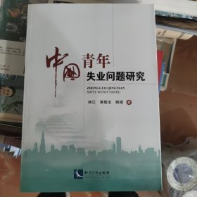 中国青年失业问题研究