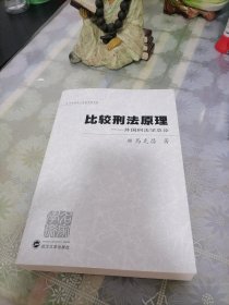 比较刑法原理：外国刑法学总论