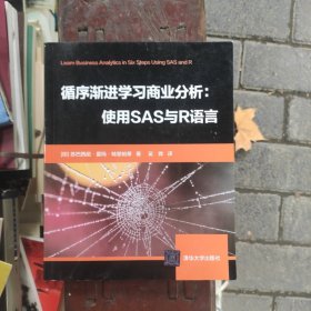 循序渐进学习商业分析：使用SAS与R语言