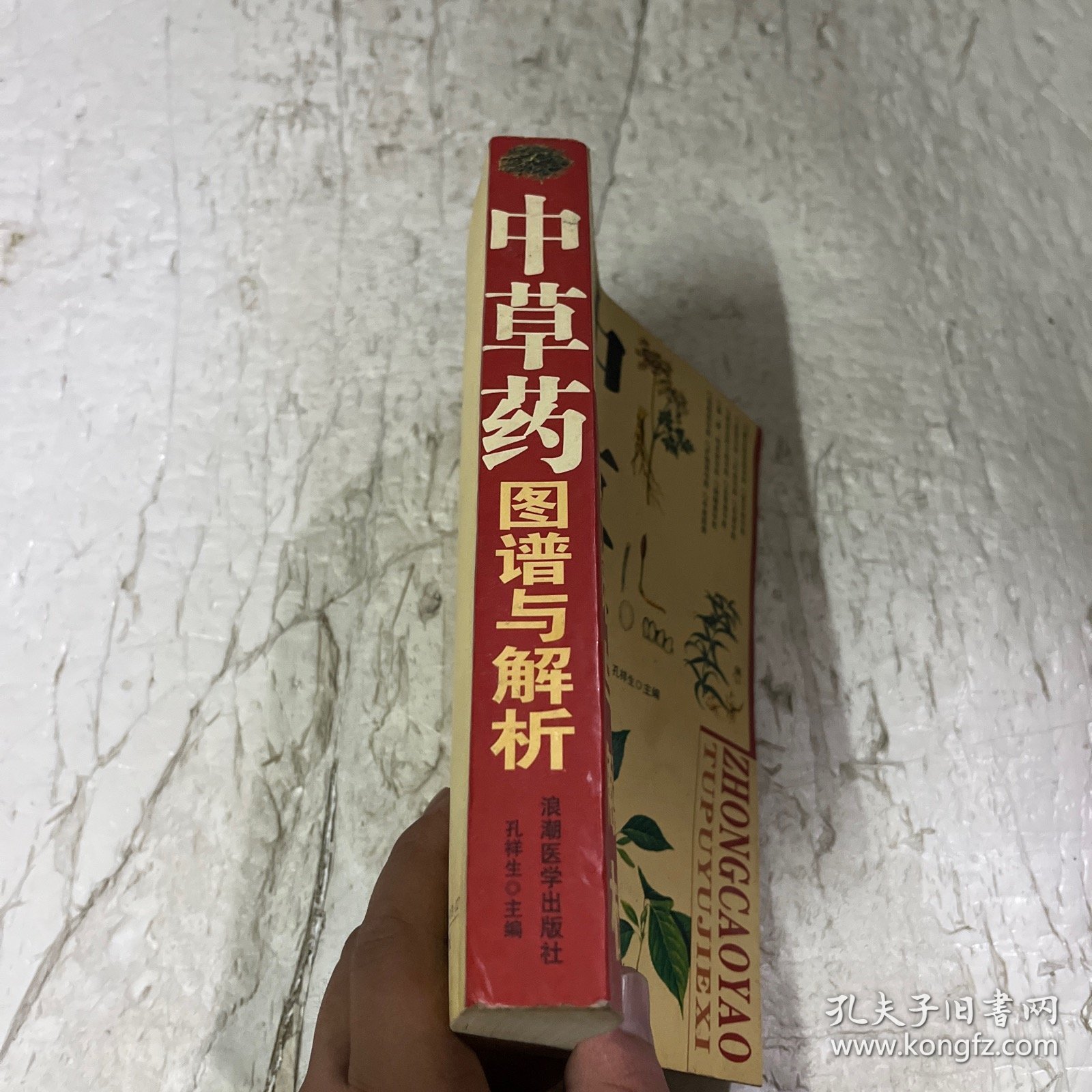 中草药图谱与解析