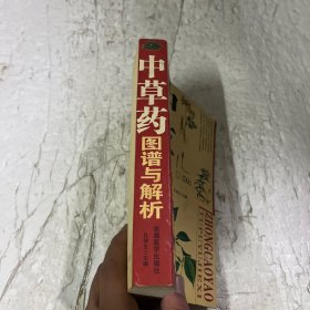 中草药图谱与解析
