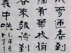 隶书书法 三尺整张毛笔手写 毛主席词卜算子咏梅 50厘米 X 100厘米 画心未裱